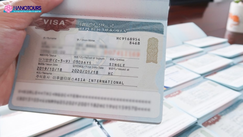 Bạn có thể lựa chọn nhiều loại visa khi du lịch tới Hàn Quốc